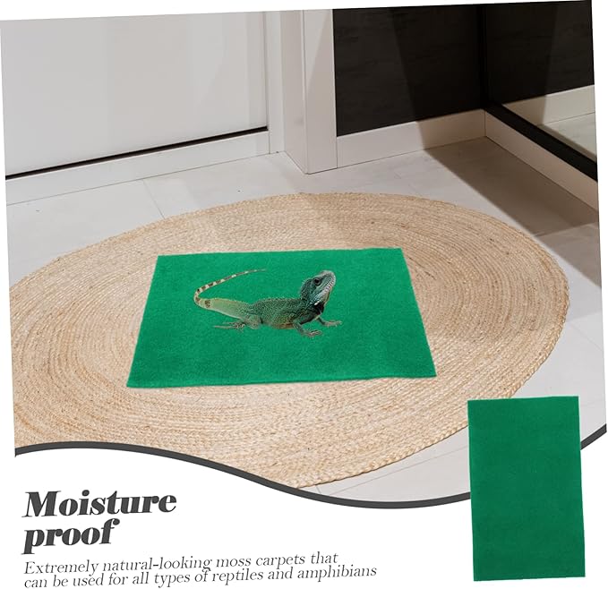 balacoo 2pcs Reptile Tank Decor Frog Lizard Tortoise Mat Decorative Hides for Enclosure
