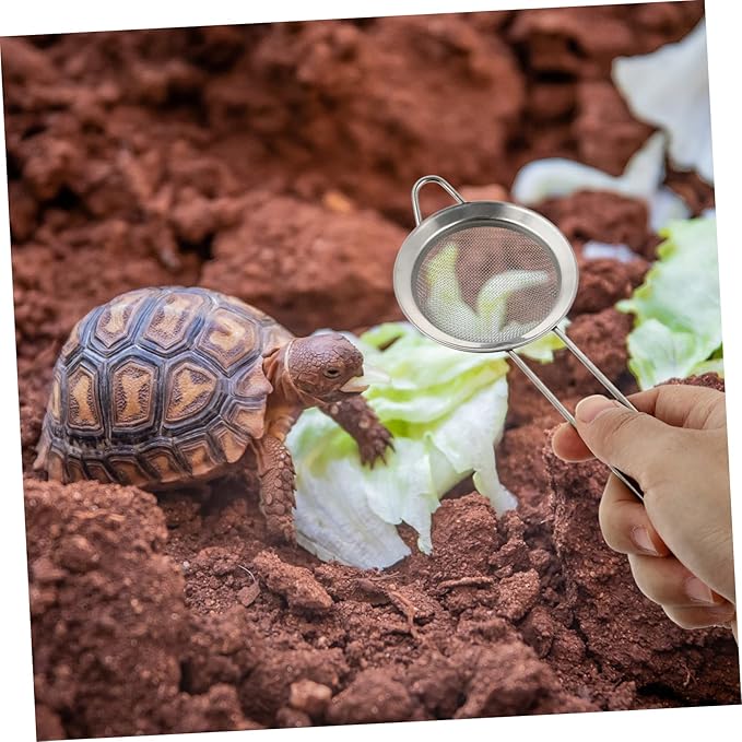 Mipcase 6pcs Stainless Steel Reptile Sand Shovel for Tortoise and Lizard Litter Cleaning Fine Mesh Sifting Tool for Effortless Waste Removal and Bedding Maintenance