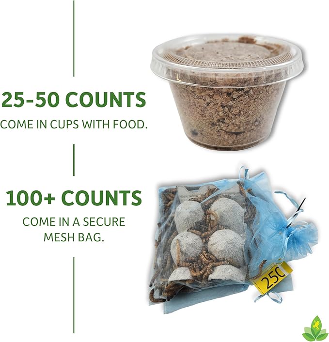 Josh's Frogs Superworms (300 Count)