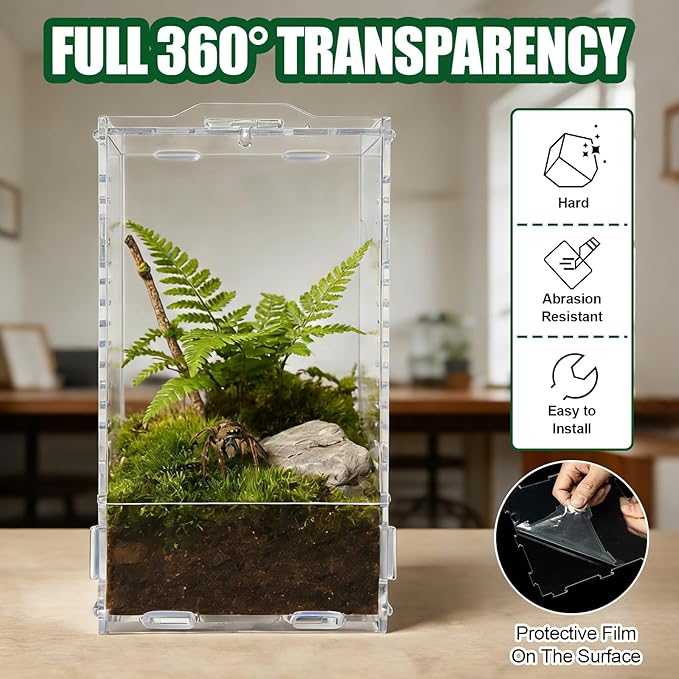 Transparent Jumping Spider Enclosure, Acrylic Reptile Terrarium Enclosure, Small Reptiles Habitat Tank Breeding Box for Tarantula Insect (Large)