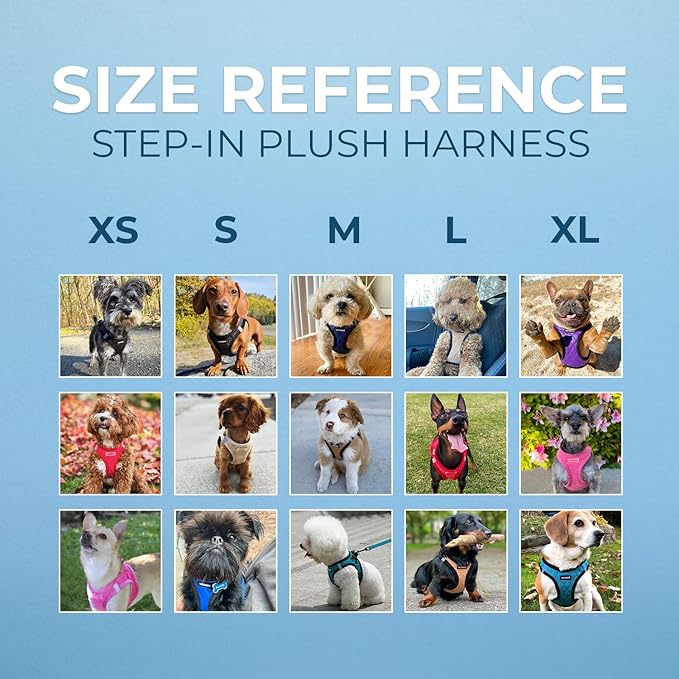 Best Pet Supplies - All Weather Plush, Reflective, No Pull Harness for Small, Medium Dogs, Cats - Secure with Hook & Loop Fastener, Buckle, Double D-Rings - Turquoise Plush, M