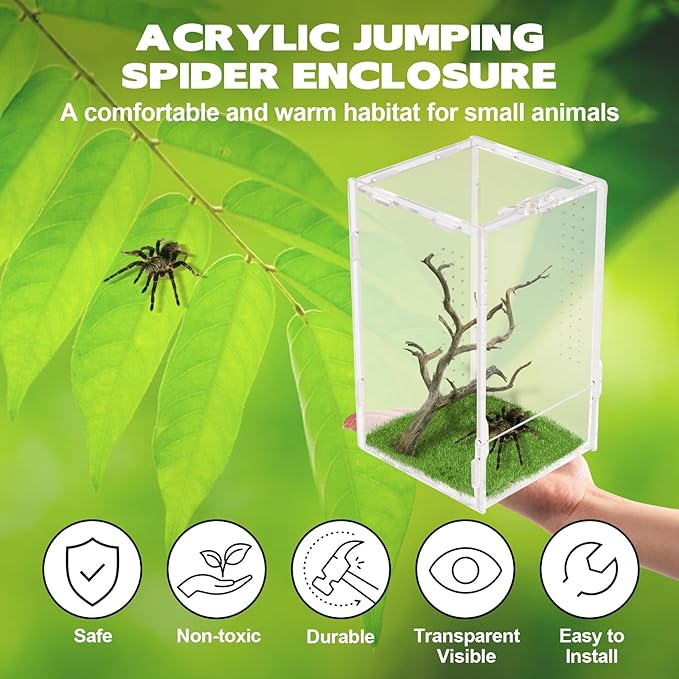 Rislobx Jumping Spider Enclosure, Acrylic Reptile Terrarium Enclosure Micro Habitat Tank Breeding Box for Tarantula Insect Small Reptiles (7.9" x 4.7" x 4.7")