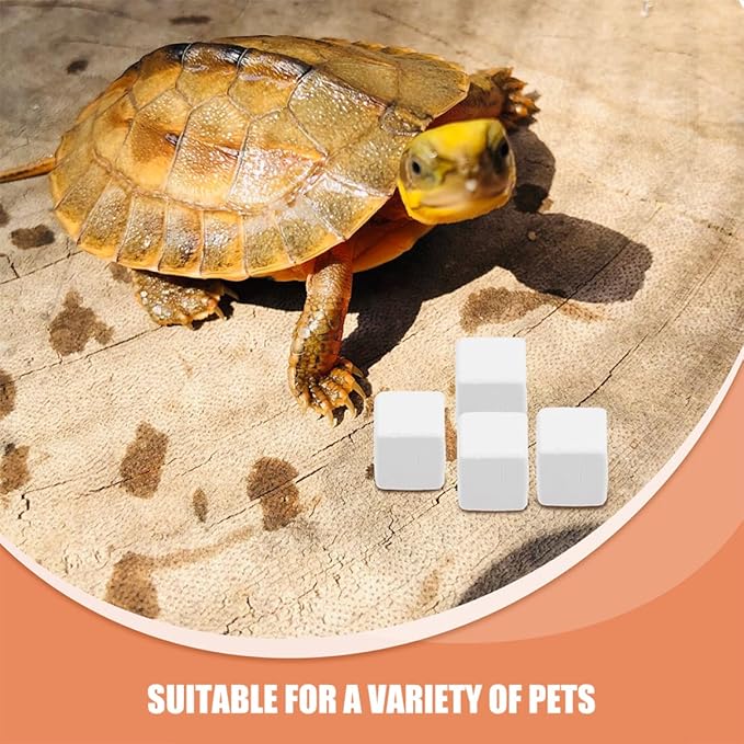 Hemoton 12pcs Reptile for Crab Habitat Essential Natural for Shell Growth Health Teeth Maintenance for Reptiles Pets