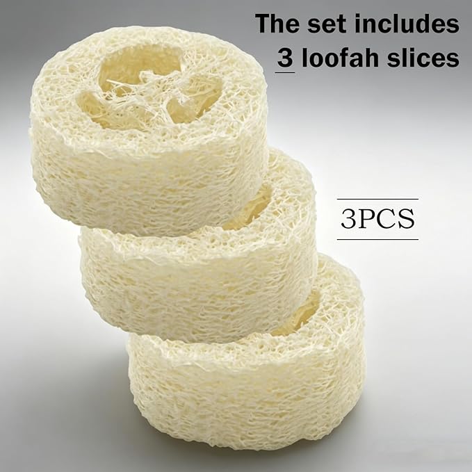 Cockroach Water Basin & 3 Loofah Set, Dubia Roaches Live Habitat Reptile Container Supplies for Terrariums & Enclosures, Comfortable Habitat for Roaches Live, Isopods, Springtails, Crickets