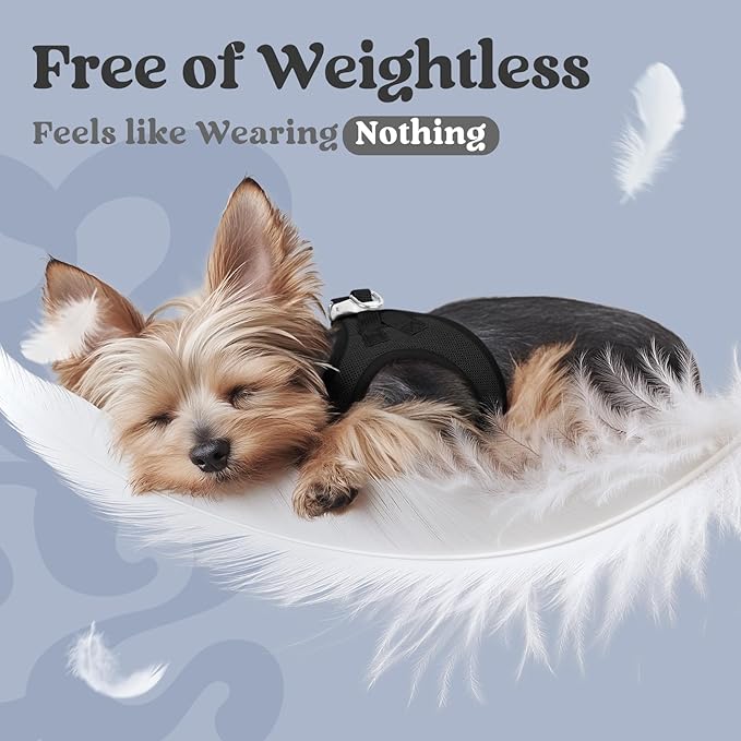 rabbitgoo Small Dog Harness, Step-in Soft Mesh Puppy Vest with Safety Buckle, Breathable Reflective Pet Harness for Large Dogs, Black XXL