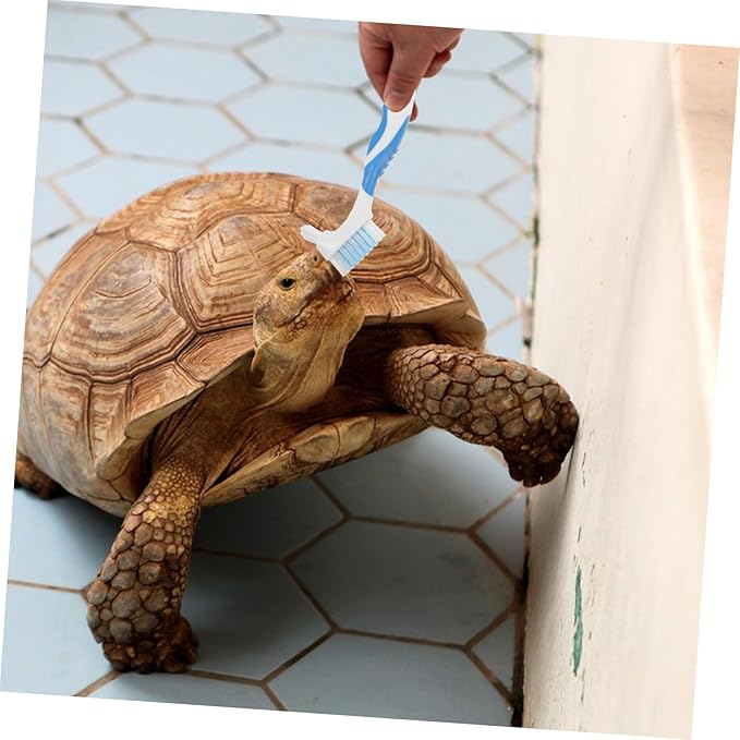HANABASS 2pcs Portable Turtle Shell Cleaning Brush Multi-Functional Dirt Remover Double-Head for Effective Household Use