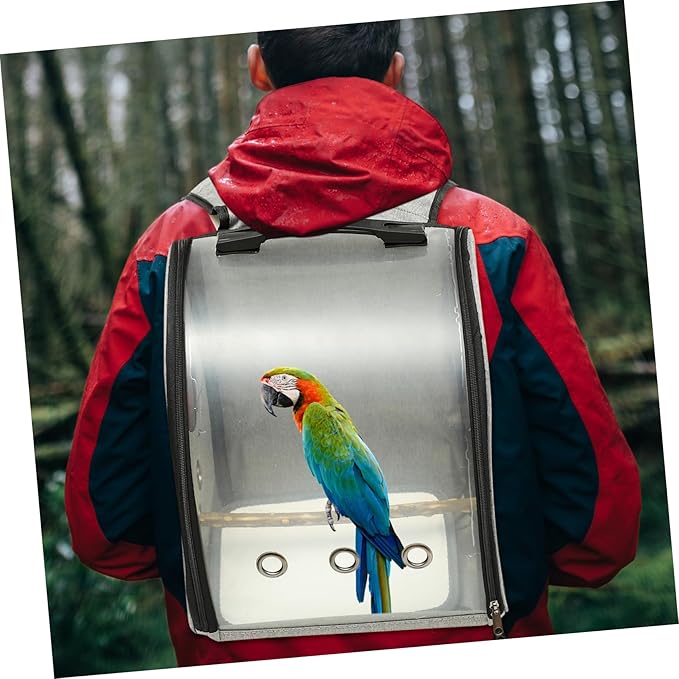 Parrot Carrying Bag Breathable Mesh Comfortable Travel Carrier for Outdoor Use for Hiking Shopping and Camping Includes Bird Perch and Design
