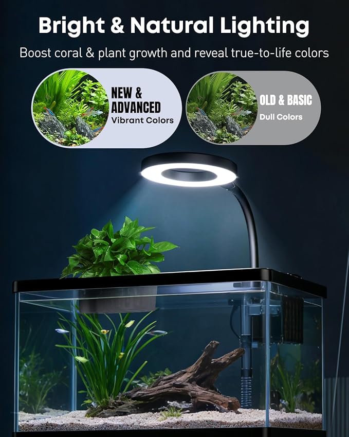 Pawfly 2.75 Gallon Fish Tank, Small Aquarium Kit, Betta Fish Tank Starter Kit with 6 W LED Light, 65 GPH Filter, Siphon Vacuum Water Changer & Basket, Aquarium for Betta, Shrim, or Small Fishes