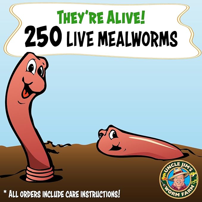Uncle Jim's Worm Farm 250 Count Mealworms for Reptiles and Chickens | Mealworms for Feeding Lizard, Gecko, Bearded Dragons, Chickens, Birds, and More | Suitable for Fishing Bait