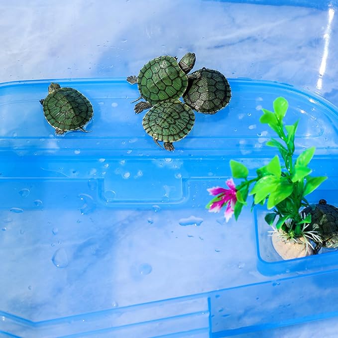 Reptiles Terrariums Terrapins Habitat with Basking Platform Anti-Escaping Hermit-Crab Accessories Turtle Habitat