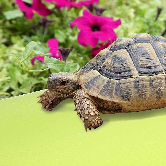 Toyvian Washable Reptile Carpet Mat Substrate Liner for Leopard Gecko Bearded Dragon Tortoise Tank Bedding Non-Adhesive Terrarium Flooring for Snake Lizard Habitat