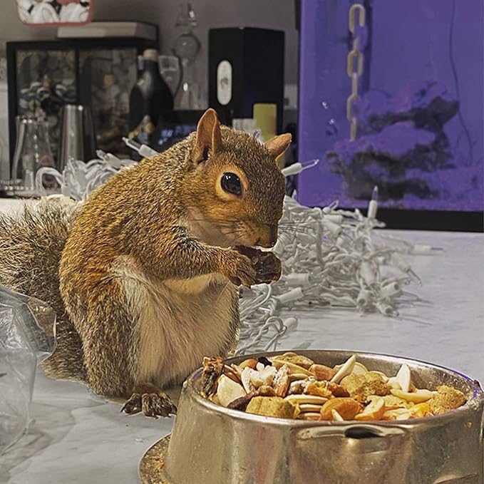 Exotic Nutrition Squirrel Complete (4 lb.) - Healthy Natural Food for Squirrels - Ground, Grey, and Flying Squirrels