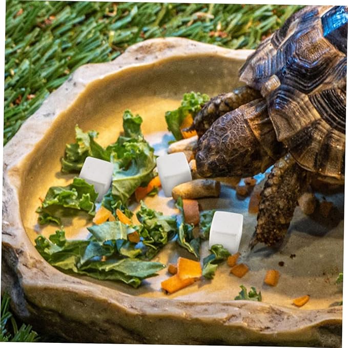 30pcs Natural Mineral Calcium Blocks for Reptiles Amphibians and Turtles for Tortoises Frogs Chameleons and Lizards Supports Immune Function and Teeth Grinding