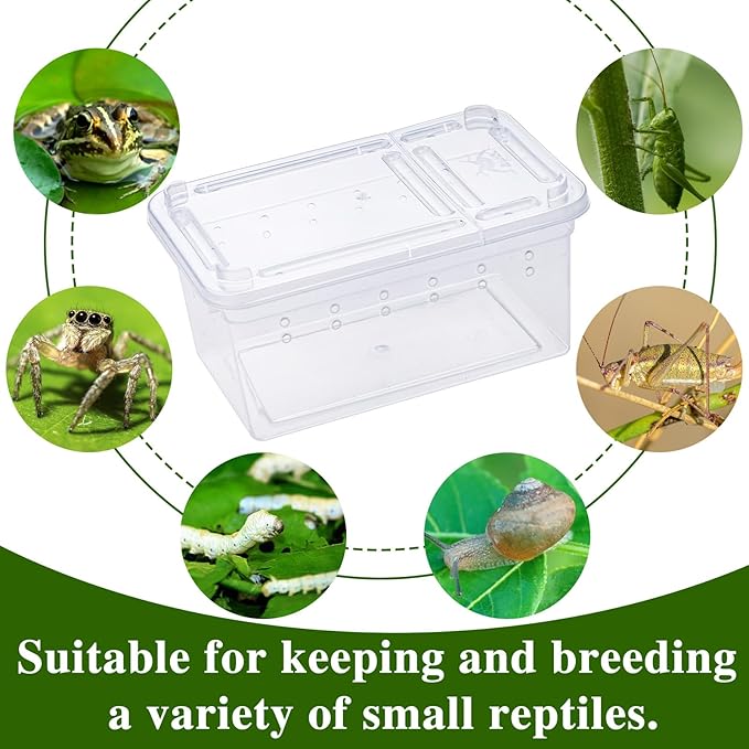 10Pcs Reptile Feeding Box, Transparent Animal Habitat Cage Spider Terrarium, Plastic Breeding Box for Reptile Turtle Spider Frog Scorpion Snake (3.6 x 2.1 x 1.9 in)