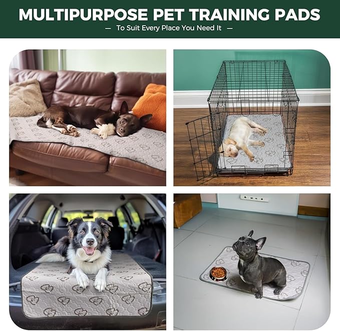 FXW Washable Pee Pads for Dogs, Leak-Proof & Non-Slip, Specifically Designed for Potty Training, 29" × 18" Rectangle, Khaki, 4 Packs