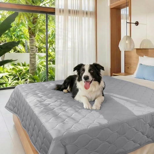 Luciphia Waterproof Cooling Mat for Dogs Couch Cover Q-MAX>0.5, Leakproof Pet Pad Non-Slip Throw Blanket for Cat Puppy Crate Bed Protector Outdoor (Cloud Grey, 60x80 inches)