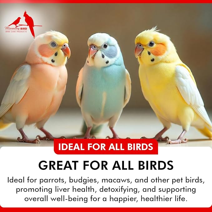 Morning Bird Milk Thistle & Dandelion Extract 2 fl oz – Organic Herbal Supplement for Birds – Supports Liver Health & Natural Detox – Suitable for All Bird Species