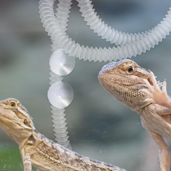 Abaodam 1set Reptile Humidifier Extension with Cups Flexible Hose for Terrarium Mist System Compact Design Compatible with Amphibians and Reptiles Easy Installation Accessory