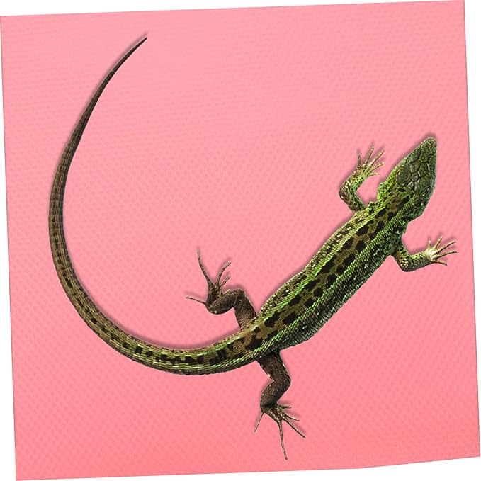 VICASKY Reptile Carpet Substrate for Leopard Gecko Bearded Dragon Snake and Turtles Nonslip Terrarium Bedding Mat for Reptile Tanks Sturdy and Easy to Clean