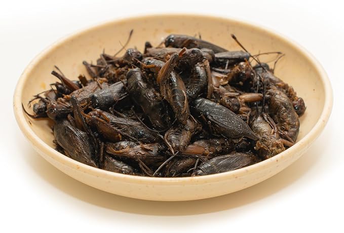 6 Pack Canned Crickets for Reptiles, Fish, Birds and Small Animals, Crickets, Healthy High Protein Treat, Reptile Bird Fish Food 7.2 Ounces Total