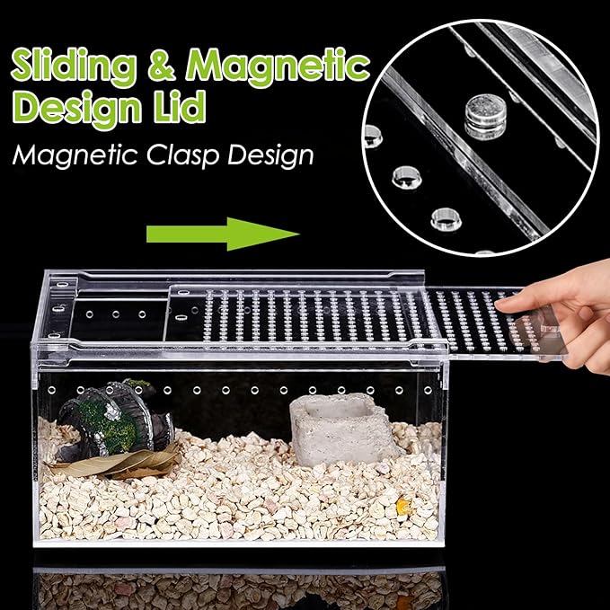 Reptile Terrarium Enclosure 12"x 8"x 6" Acrylic Tarantula Breeding Box Magnetic Hermit Crab Habitat Tank Transparent Jumping Spider Cage for Insect Snail Amphibians Sling Isopods