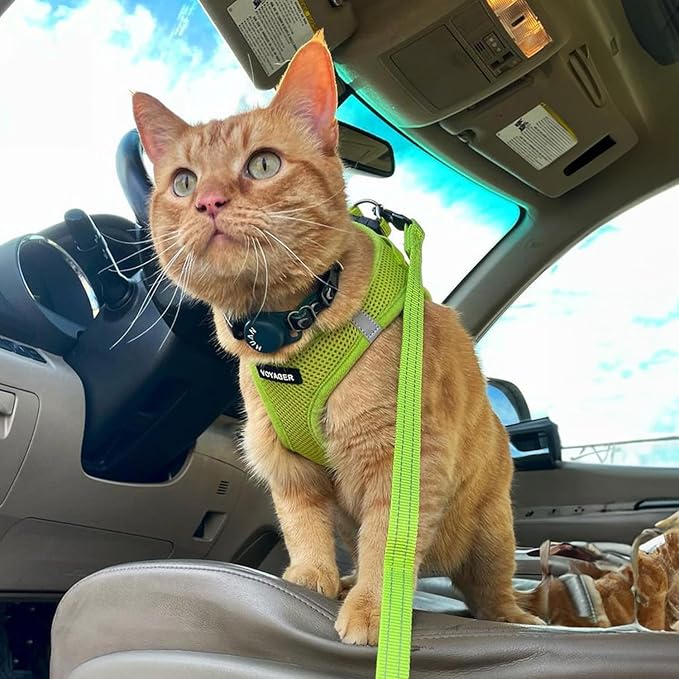 Best Pet Supplies Voyager Step-in Air All Weather Mesh Harness and Reflective Dog 5ft Leash Combo with Neoprene Handle, for Small, Medium and Large Breed Puppies - Set (Lime Green), Large