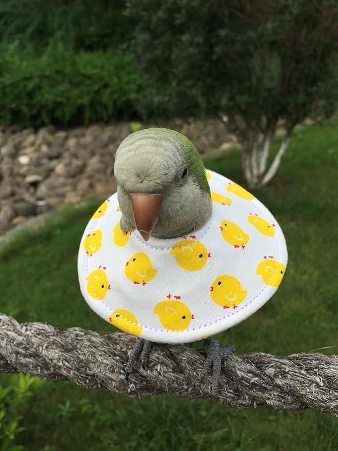 Adjustable Bird Collar - Recovery Collar Parrot Elizabeth Collar for Feather Plucking Feather Protector Shield with Soft Padded Cotton Neck Cone Anti-bite Anti-Licking Wound Healing (XL,Yellow)