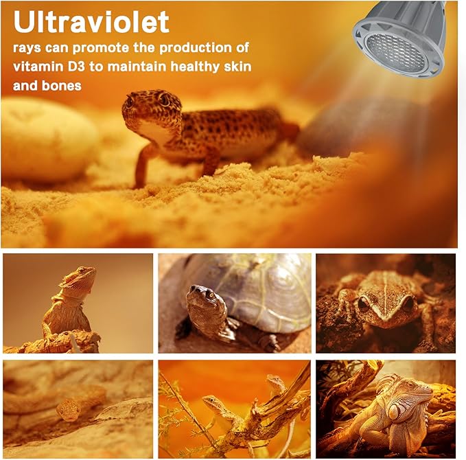 GARTO UVB Light for Reptiles, for E26, E27 Reptile Heat Lamp, Full Spectrum LED Light,UVA Daylight Basking Light for Dragon, 2urtle, Lizard, Gecko, Lizard (UVB-5.0)