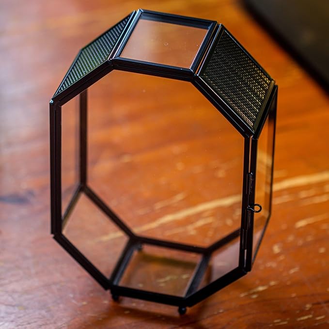 NCYP Mini Vented Glass Terrarium with Vent and Door for Jumping Spiders - Octagon Small Spider Enclosure, Black, Tabletop Decor, 5 x 2.3 x 7 Inches (Terrarium Only)