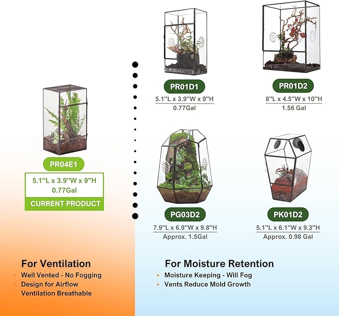 NCYP Glass Terrarium with Door and Mesh for Small Insects - 5.1 x 3.9 x 9 Inches Rectangle Reptile Habitat, Black - Modern Home Tabletop Decor (Terrarium Only)