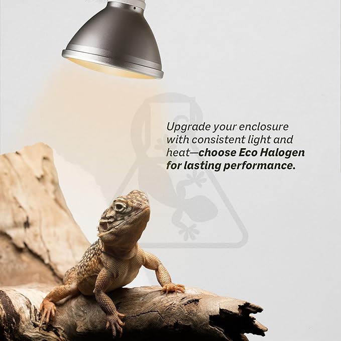 Reptile Systems Eco Halogen – White 25w – Lamp for Reptiles & Amphibians – Light for Tanks, Vivariums & Crested Geckos