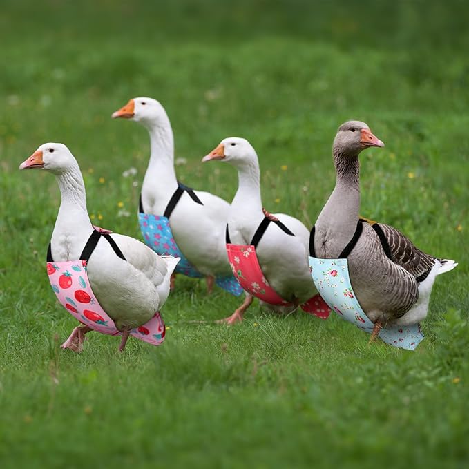 6 Pcs Chicken Diapers for Indoor Chickens Reusable Washable Duck Diapers with Bowtie Adjustable Ducklings Pet Poultry Potty Training Clothes for Rooster Chicken Geese(Classic,M)