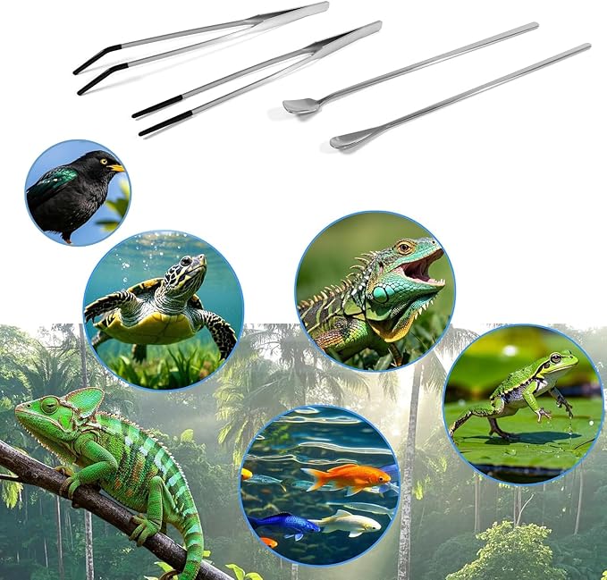4 Pcs Reptile Feeding Tools Set with Silicone Tips - Extra Long Straight & Curved Tongs, Spoons - Stainless Steel Terrarium Feeder Kit for Bearded Dragons, Lizards, Snakes, Spiders, Aquarium