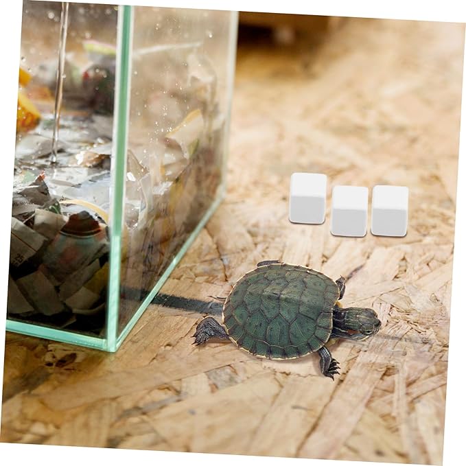 BESPORTBLE 6pcs Natural Mineral Block for Reptiles and Crabs Pumice Chew for Fish Tank Habitat of Minerals for Pets for Stimulation and