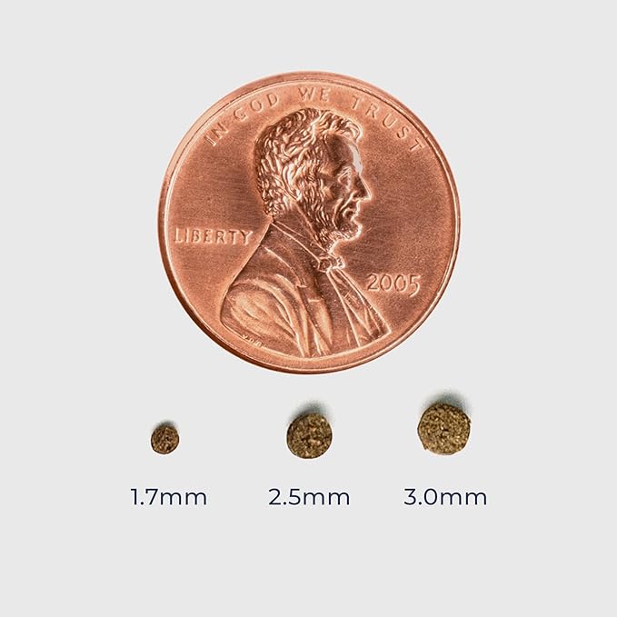 BenePellet LPS Sinking Coral Reef Food - Optimize Coral Color, Health & Nutrients, Prebiotics & Probiotics, Saltwater Marine Aquarium 2.5mm Sinking Pellets - 76 Grams