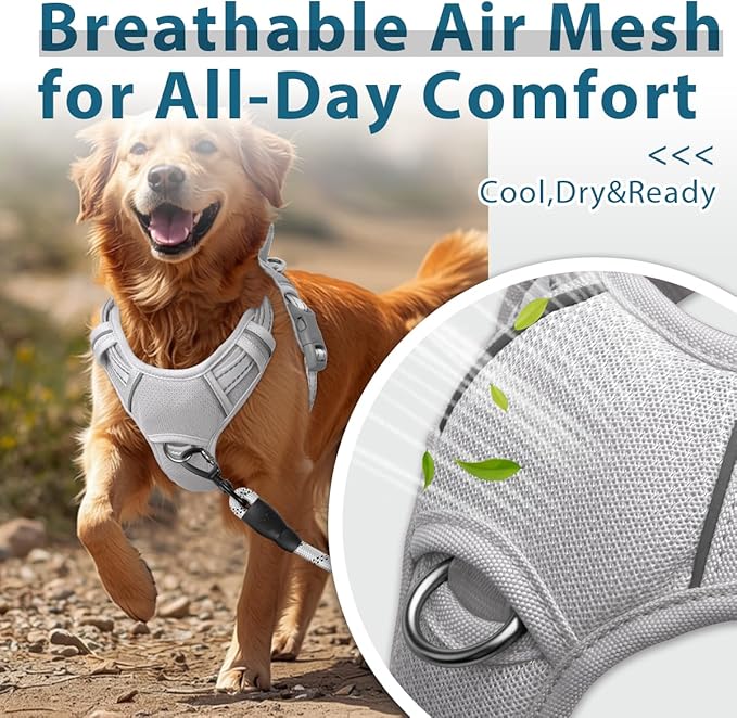 BARKBAY Dog Harness No Pull with ID Tag Pocket - Heavy Duty, Reflective, Easy Control for Large Dogs(Grey,M)