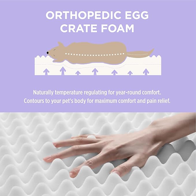 LE SURE Outdoor Waterproof Dog Bed for Large Dogs, Orthopedic Egg Crate Foam Pet Bed with Oxford Fabric Surface and Removable and Durable Cover, Machine Washable, 36''x27'', Black