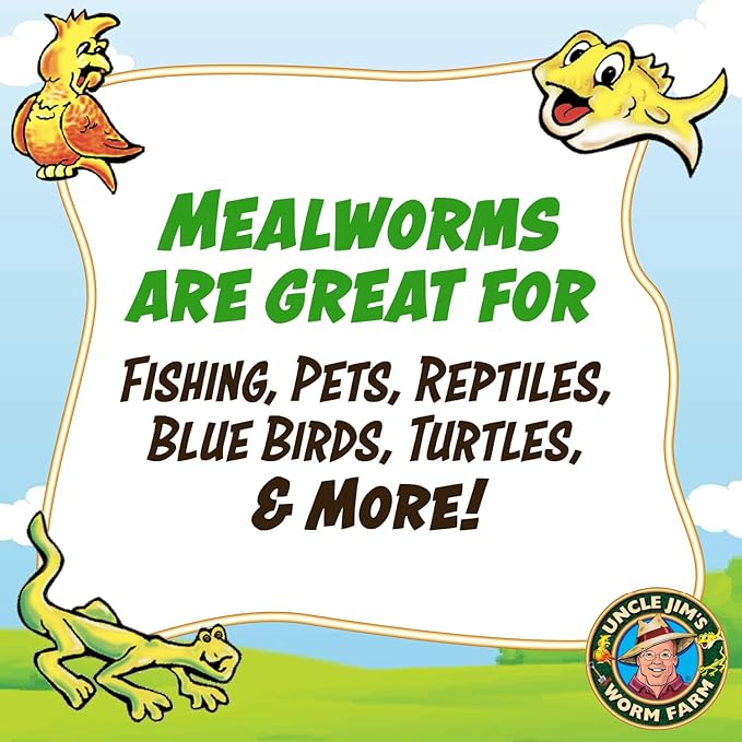 Uncle Jim's Worm Farm 100 Count Mealworms for Reptiles and Chickens | Mealworms for Feeding Lizard, Gecko, Bearded Dragons, Chickens, Birds, and More | Suitable for Fishing Bait
