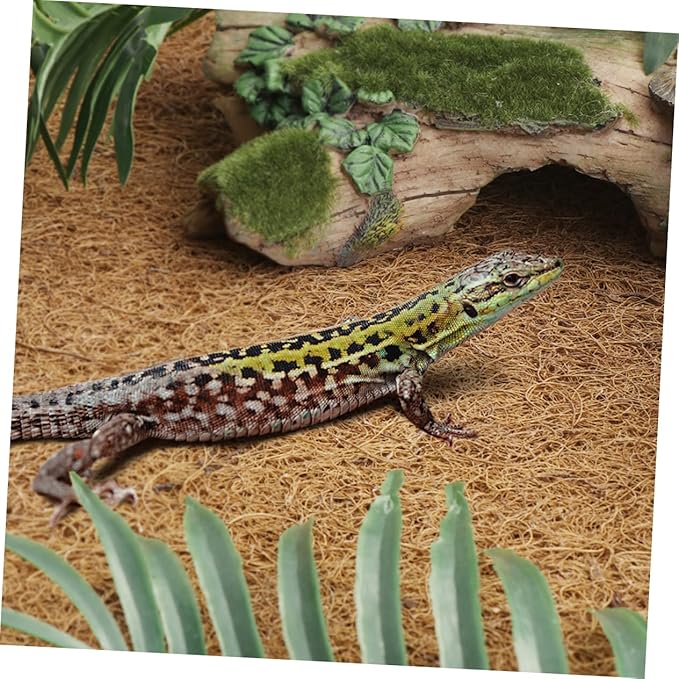 BESPORTBLE Leopard Gecko Accessories Reptile Bedding Easy-Cut Mat for Terrarium Enclosure