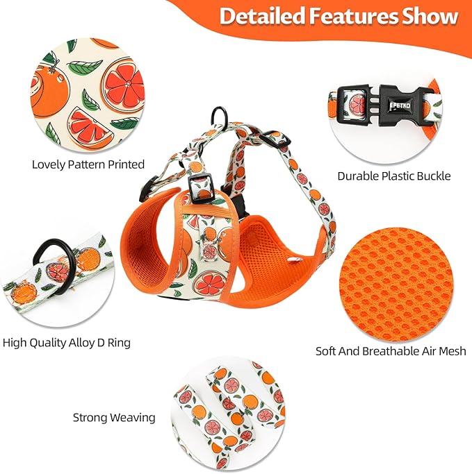 Small Dog Harness and Leash Set of 6, No Pull Soft Lightweight Mesh Puppy Harness， Adjustable Cute Floral Pattern Pet Harness for Small Medium Dogs (Orange, M)