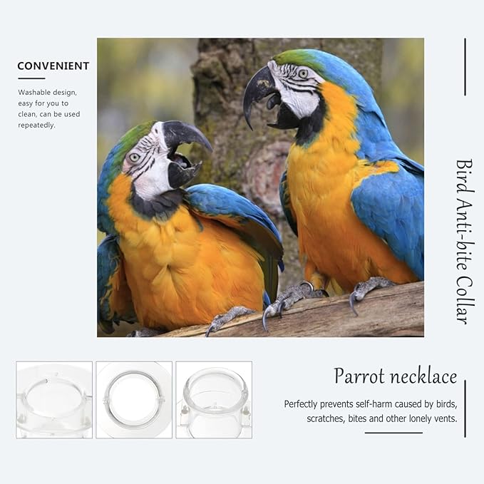 Baluue Parrot Neck Collar, Plastic -bite Collar Clear Feather Protector Prevent Grab Lick Healing Safety Cone Collar for Macaw Cockatoo Parrot Large