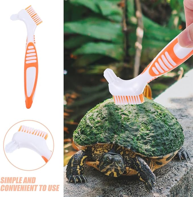 COHEALI 3pcs Turtle Shell Cleaning Brush Set Mud Removal Tool for Aquatic Tortoises and Turtles with Sturdy Bristles, Reusable Aquarium Scrub Brushes for Pet Reptile Health Maintenance
