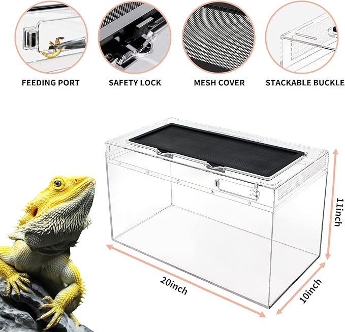 Reptile Growth Reptile Terrarium,10 Gallon Reptile Tank 20" x 10"x 11",for Insect，Fish，Tarantula，Hermit Crab，Jumping Spider，Iguana，Tortoise，Leopard Gecko，Bearded Dragon