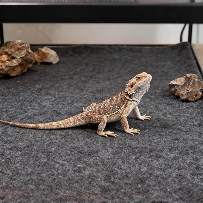 15.75x23.62Inch Reptile Carpet Terrarium Bedding Reptile Substrate Mat Bearded Dragon Tank Accessories for Lizard Tortoise Medium
