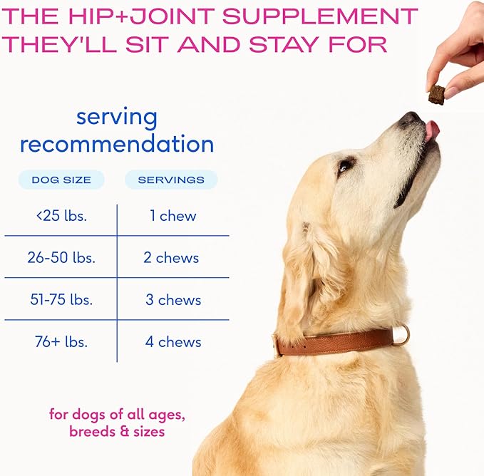 Native Pet Mobility Care - Hip & Joint Supplement for Dogs - UC-II Collagen, Egg Shell Membrane & Hyaluronic Acid - Dog Joint Supplement Chews Supports Cartilage, Mobility & Flexibility - 60 Chews
