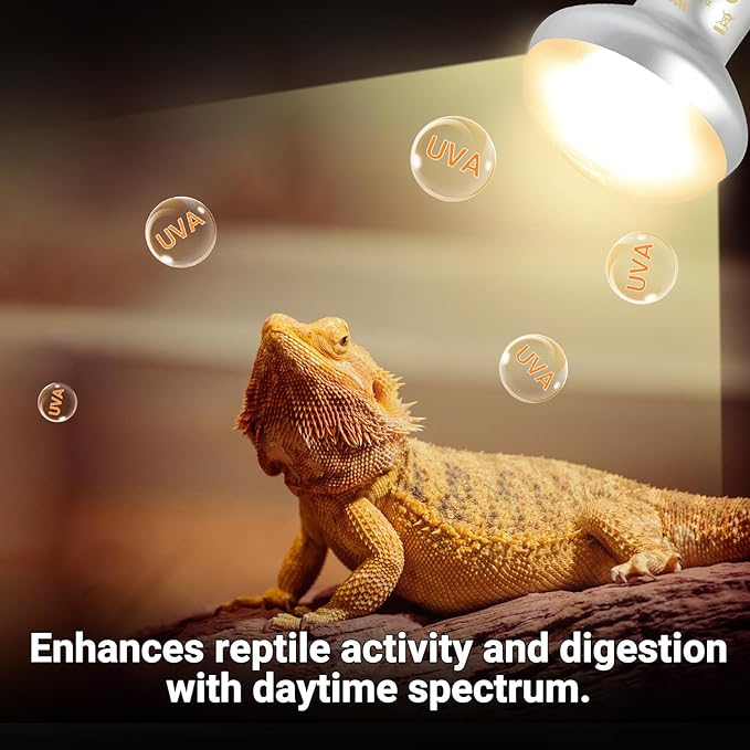 Oiibo Reptile Heat Lamp Blub Combo Pack, Dual Reptile Lamp Fixture with Intense Basking Spot Light UVA Daylight Reptile Heat Lamp & 26W Energy Saving UVA 10.0 UVB Bulb Spiral Compact Bulb