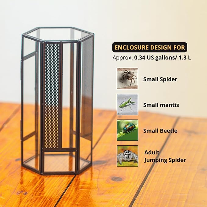 NCYP Glass Enclosure Terrarium with Mesh and Door for Small Spiders - Hexagon Shape, Small Mantis Vented Glass Terrarium 4.1'' x 3.6'' x 7.8'', Tabletop Decor, Black (Plants Not Include)