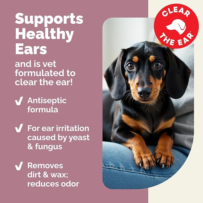 Vetnique Oticbliss Advanced Strength Dog Ear Infection Treatment Flush, Antiseptic Cat & Dog Ear Cleaner Solution Medicated with Chlorhexidine & Ketoconazole Helps with Ear Yeast (12oz Flush)