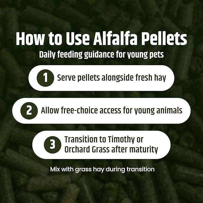 High Desert Delight Alfalfa Pellets, Protein Rich Small Animal Food for Young Rabbits Guinea Pigs and Small Pets, Natural Fiber Alfalfa Hay Pellets for Digestive Health, Fresh Hand Packed 31 oz Bag