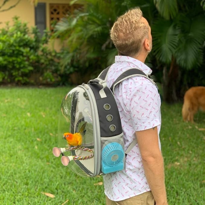 Bird Carrier Backpack, Bubble Bird Travel Carrier Backpack with Stainless Steel Tray and Standing Perch